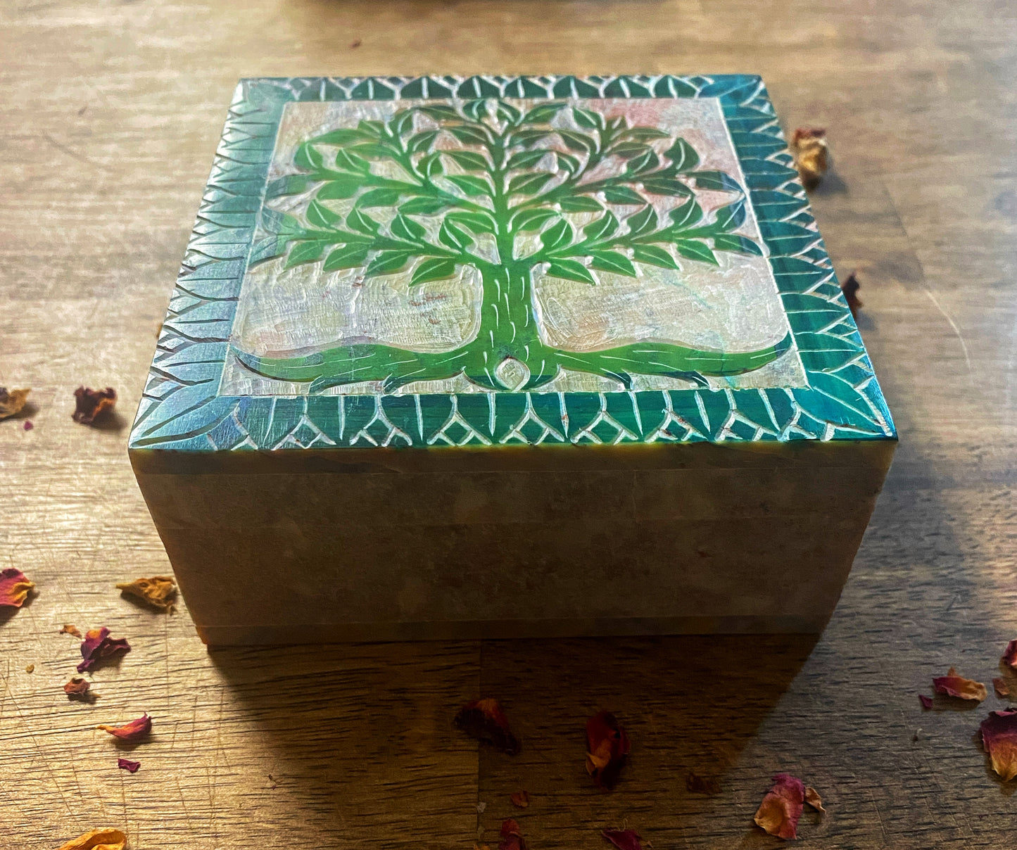 Tree Of Life Soapstone Box