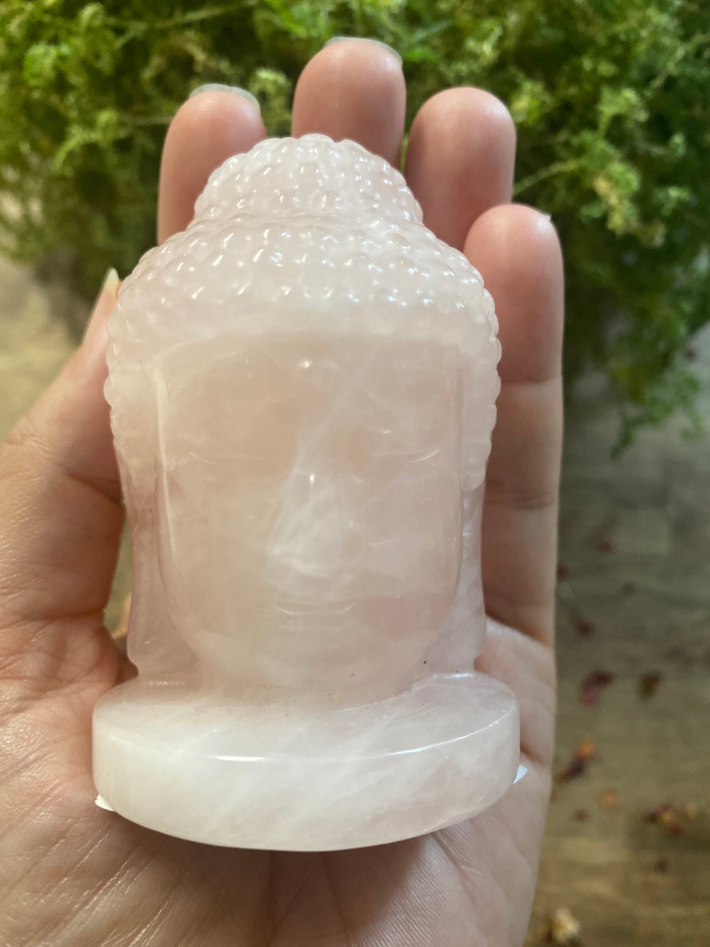 Rose Quartz | Buddha Head