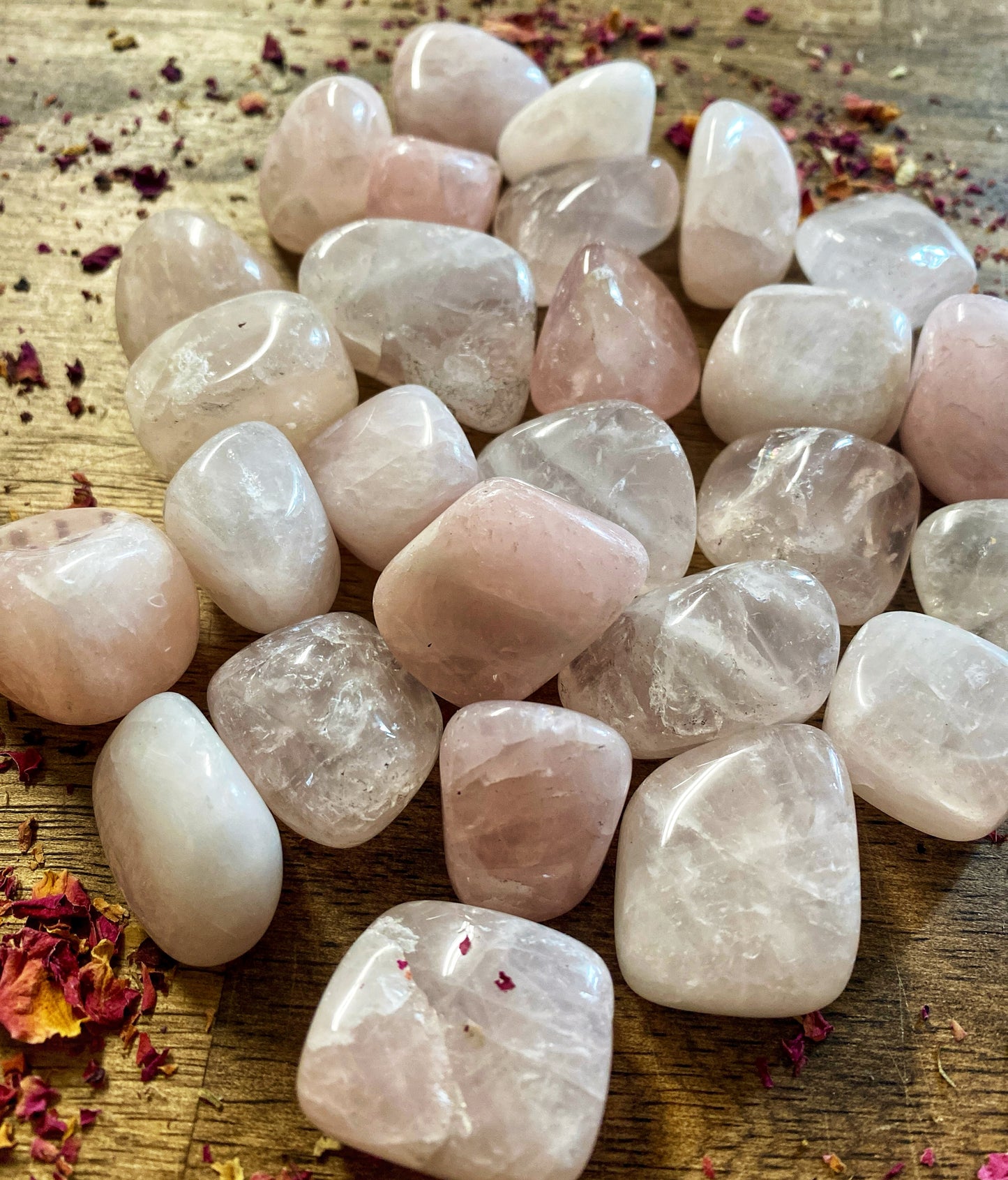 🌹Rose Quartz