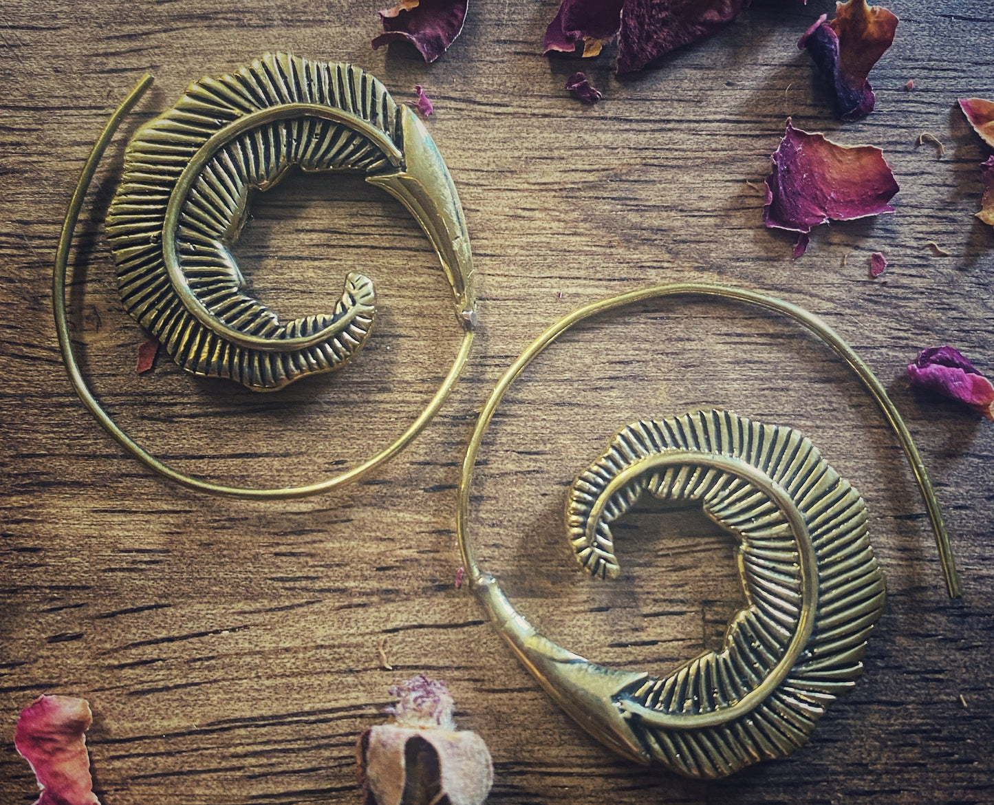 🪶Feather Spiral Earrings | Brass
