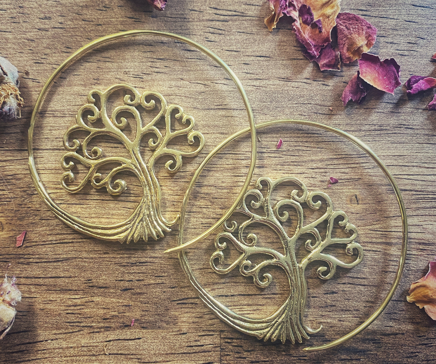 🌳Tree Of Life Spiral Earrings | Brass