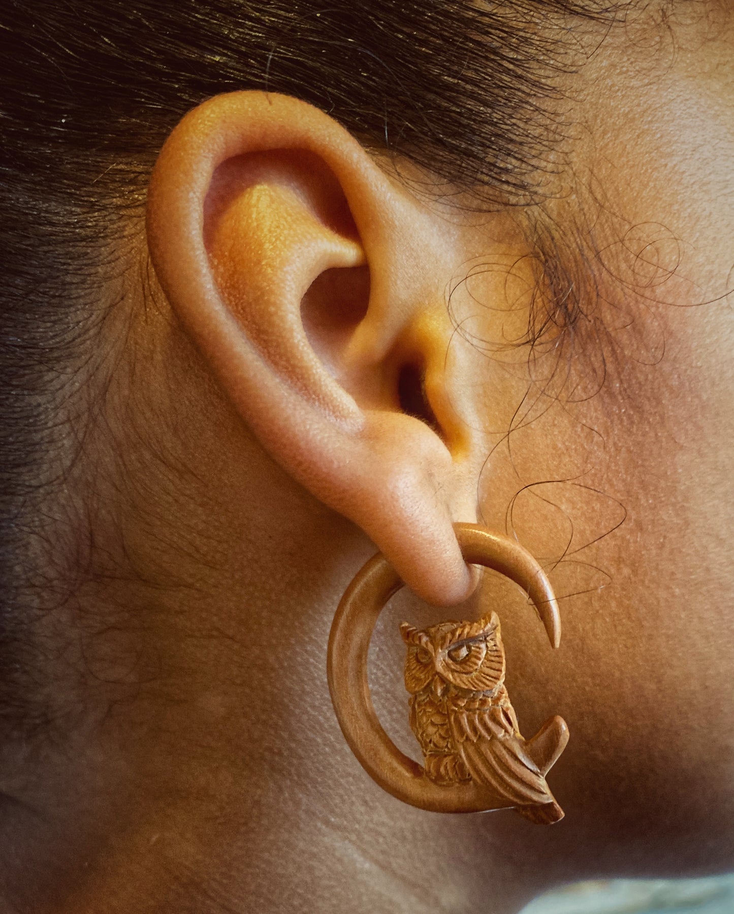 🦉Perched Owl- Faux gauges🦉