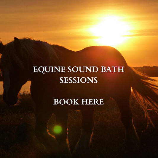 🐎 EQUINE Sound Bath Sessions 🐎